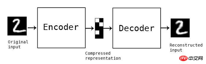 1519812344684178.jpg 5.jpg