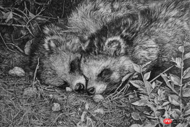 1520848664780486.jpg 1.jpg