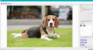 6 (2).gif