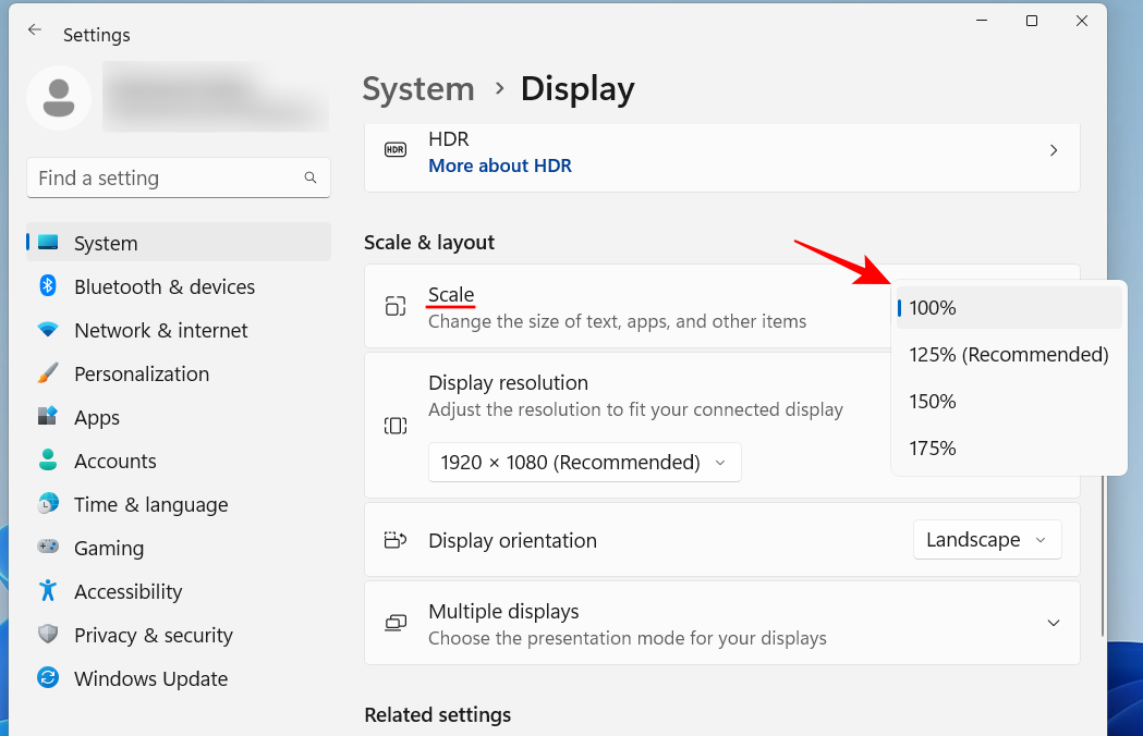 以 20 种方式自定义 Windows 11:分步教程