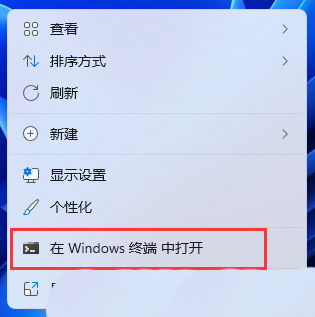 Win11如何查看电脑型号？Win11查看电脑型号的方法