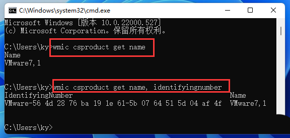 Win11如何查看电脑型号？Win11查看电脑型号的方法