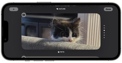 iOS 17：如何在待机模式下自定义照片屏幕