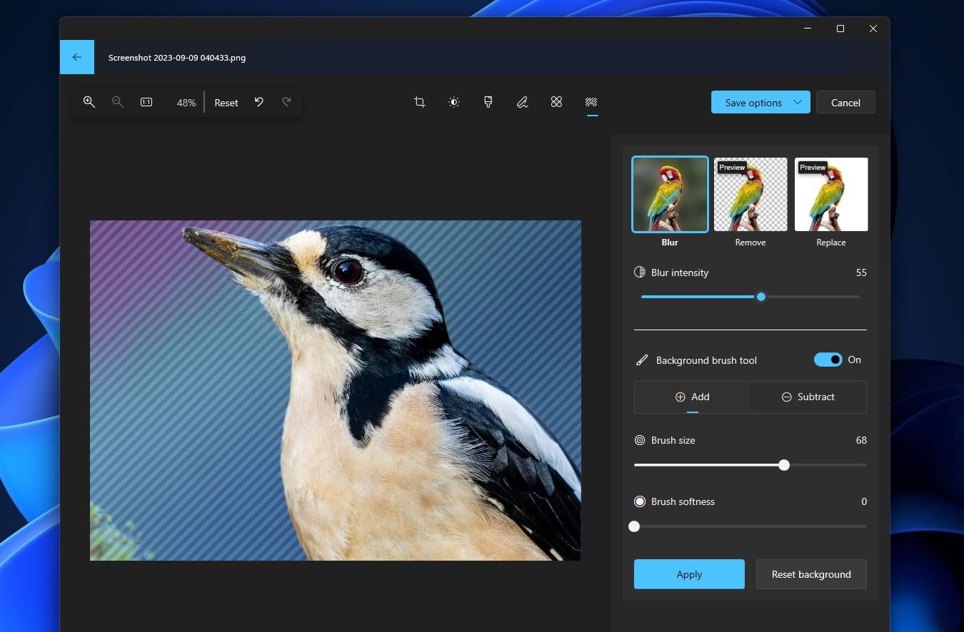 Windows 11 上的 Microsoft 照片经历了一次重大的 AI 升级,引入了类似 Google 相册的功能测试