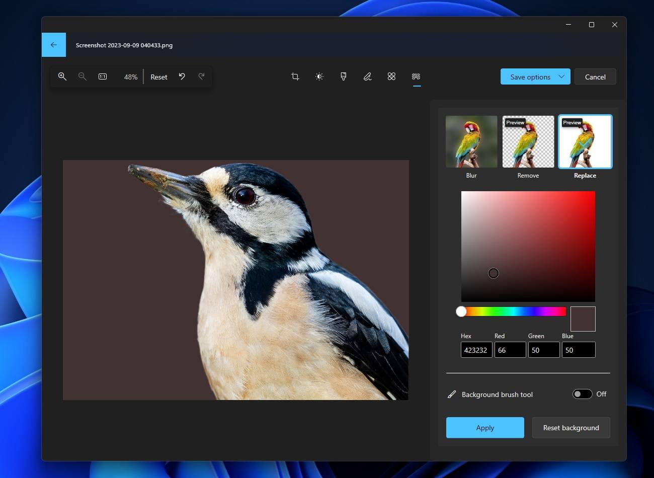 Windows 11 上的 Microsoft 照片经历了一次重大的 AI 升级,引入了类似 Google 相册的功能测试