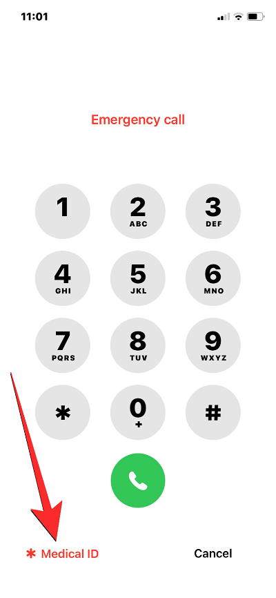 如何在 iPhone 上访问医疗急救卡(某人的和您自己的)