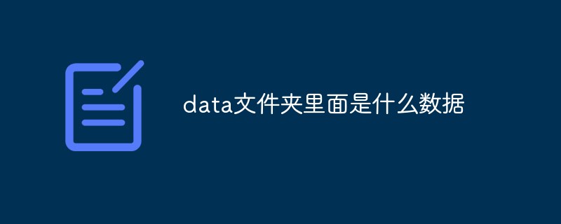 data文件夹里面是什么数据