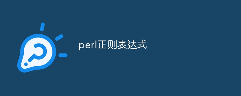 perl正则表达式