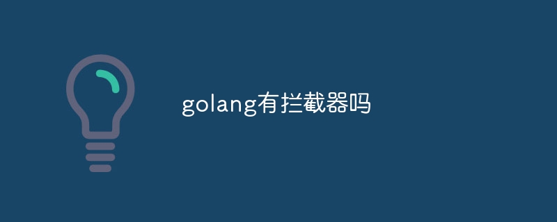 golang有拦截器吗