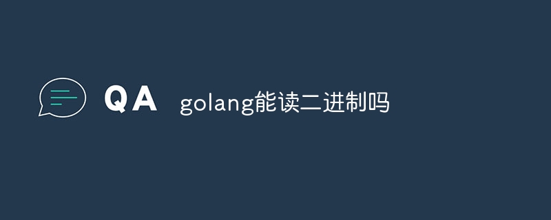 golang能读二进制吗