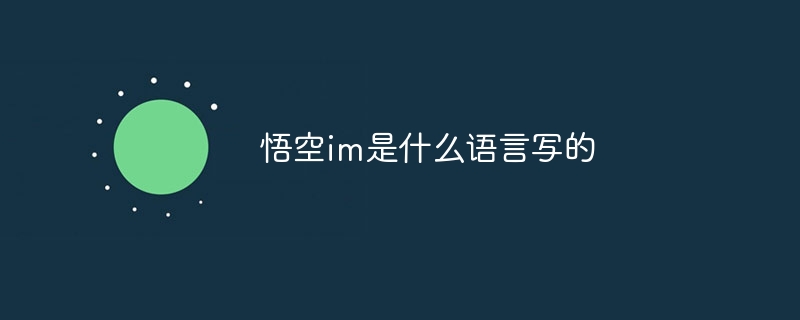 悟空im是什么语言写的