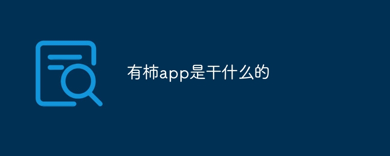 有柿app是干什么的