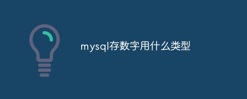 mysql存数字用什么类型
