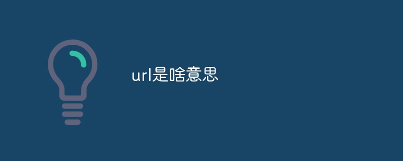 url是啥意思