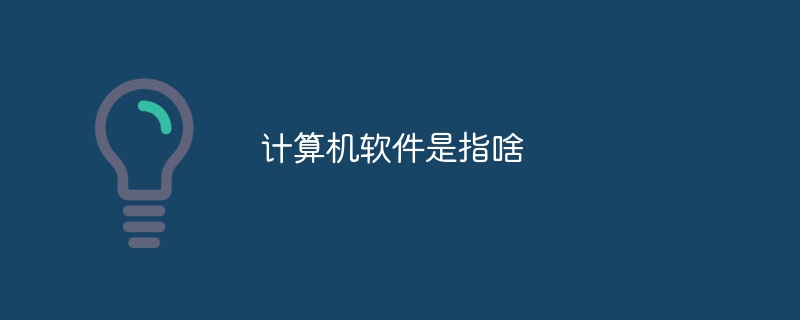 计算机软件是指啥