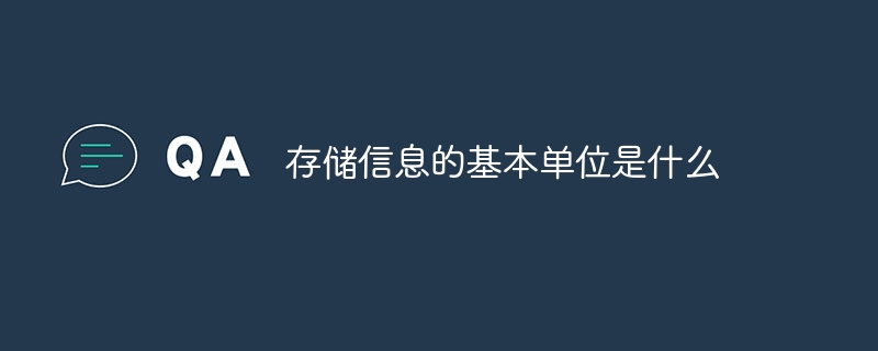 存储信息的基本单位是什么