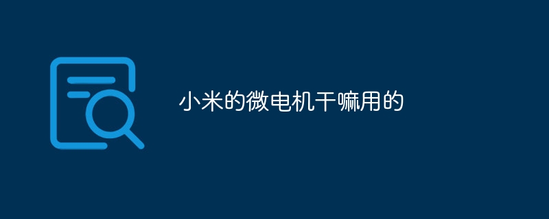 小米的微电机干嘛用的