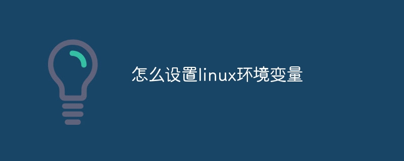怎么设置linux环境变量