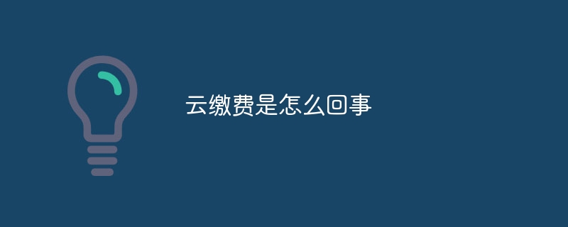 云缴费是怎么回事