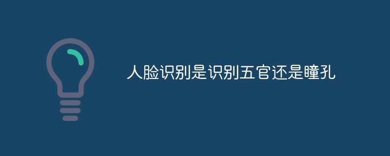 人脸识别是识别五官还是瞳孔