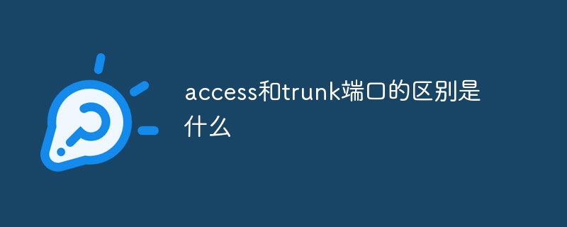 access和trunk端口的区别是什么