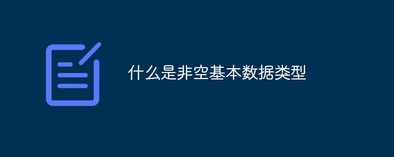 什么是非空基本数据类型