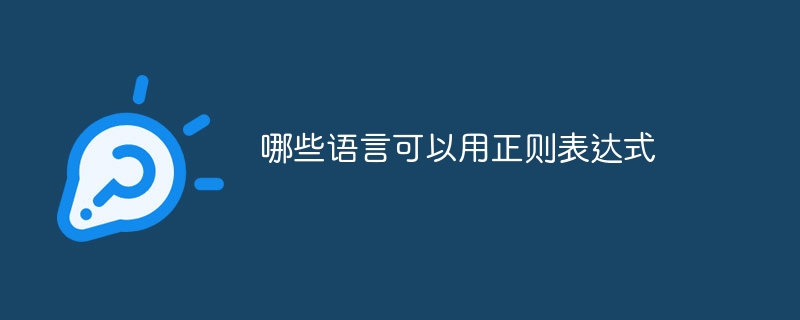 哪些语言可以用正则表达式