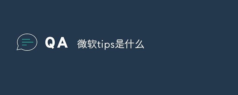 微软tips是什么