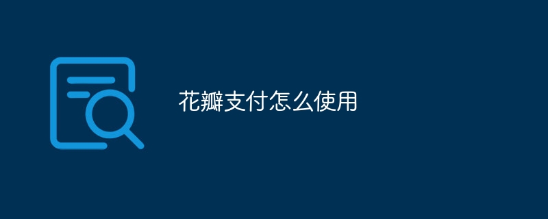 花瓣支付怎么使用
