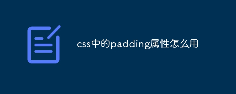 css中的padding属性怎么用