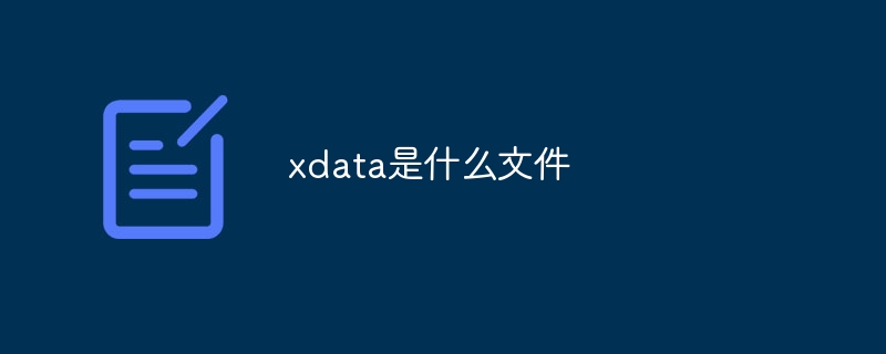 xdata是什么文件