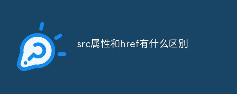 src属性和href有什么区别