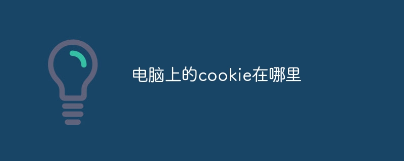电脑上的cookie在哪里