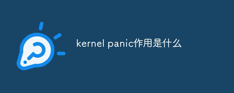 kernel panic作用是什么