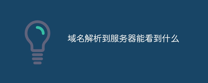 域名解析到服务器能看到什么